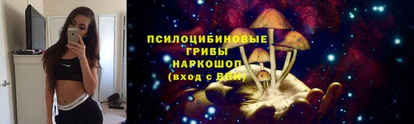 ПСИЛОЦИБИНОВЫЕ ГРИБЫ Алексин
