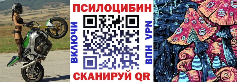 kraken вход  Гаврилов Посад  Псилоцибиновые грибы Cubensis 